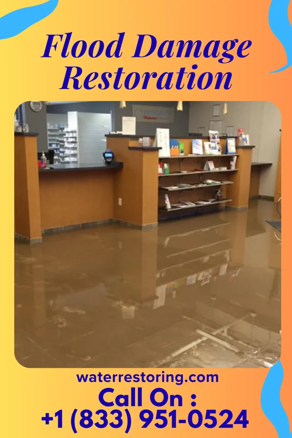 Flood Damage Restoration in Harrellsville, NC