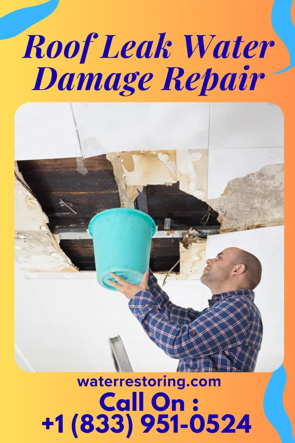 Roof Leak Water Damage Repair in Harrellsville, NC